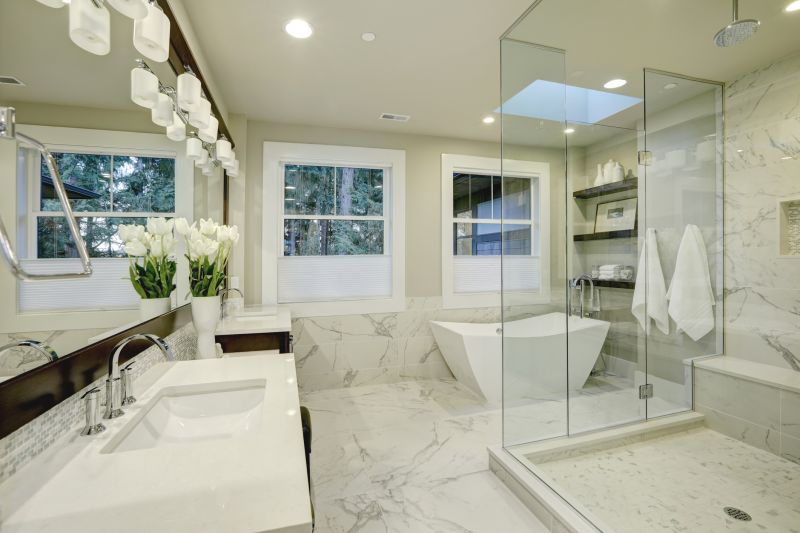 Elegant Glass Shower Door